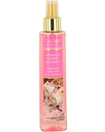 Take Me Away Japanese Cherry Blossom 8 oz Body Mist Women